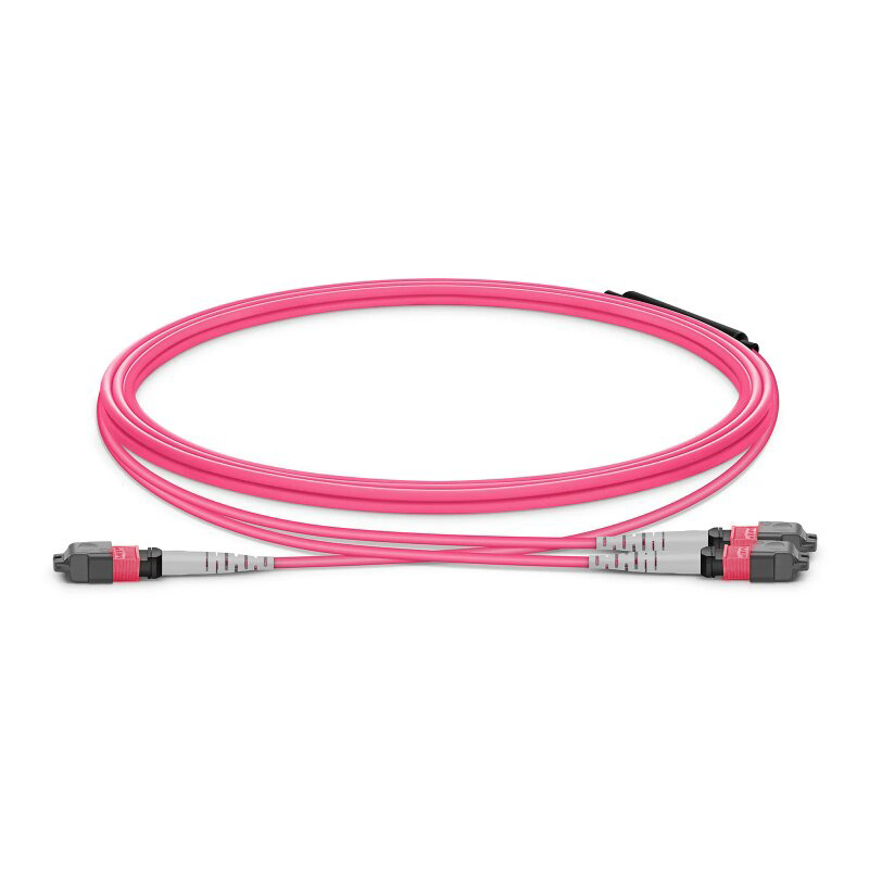 16F MTP® Trunk Cable 16F UPC(Female)-2x8F UPC(Female) OM4 0.6dB Max LSZH Rose Pink Jacket